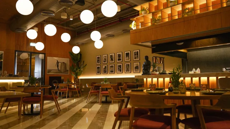 Eating Alone Never Looked This Good: How Lounges Are Rewriting the Solo Dining Playbook